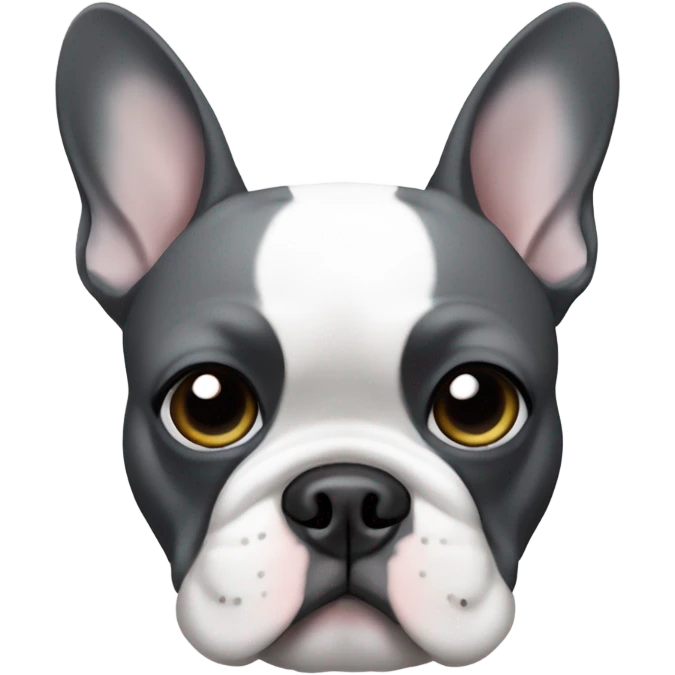 Dark grey and white French bulldog with left side of face grey and right side white but with a grey patch around right eye emoji