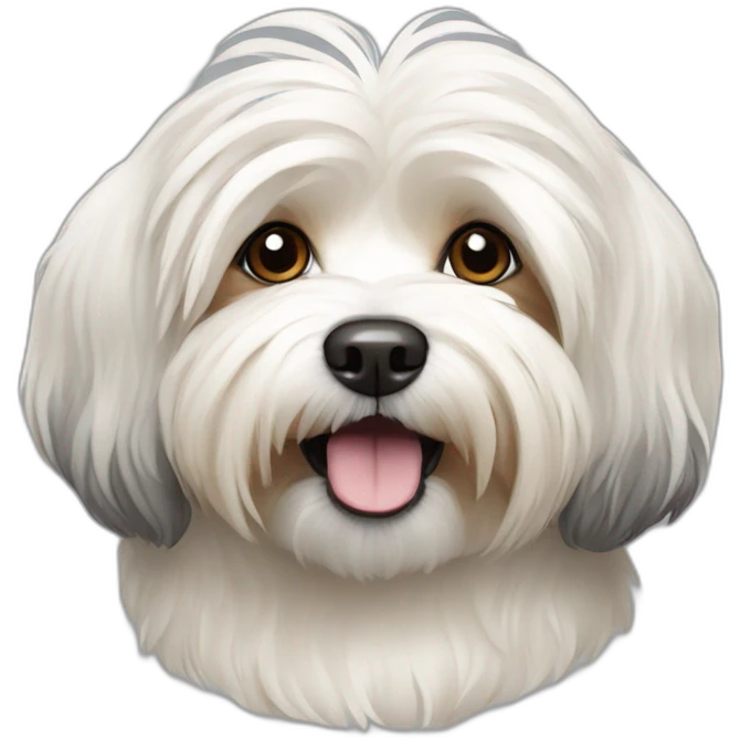 Dog havanese full height emoji