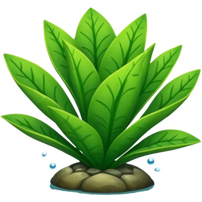 aquatic plant emoji