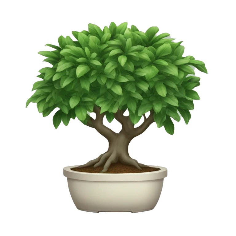 Ficus emoji
