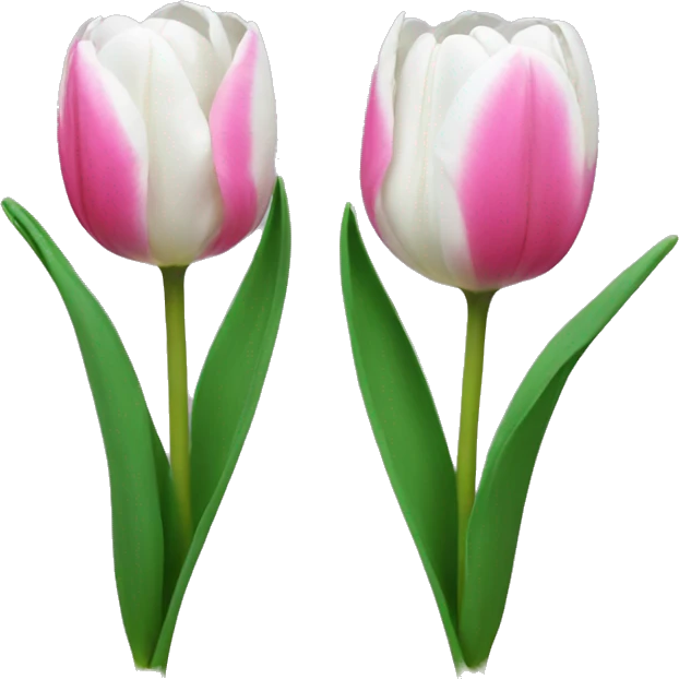White and pink tulips emoji