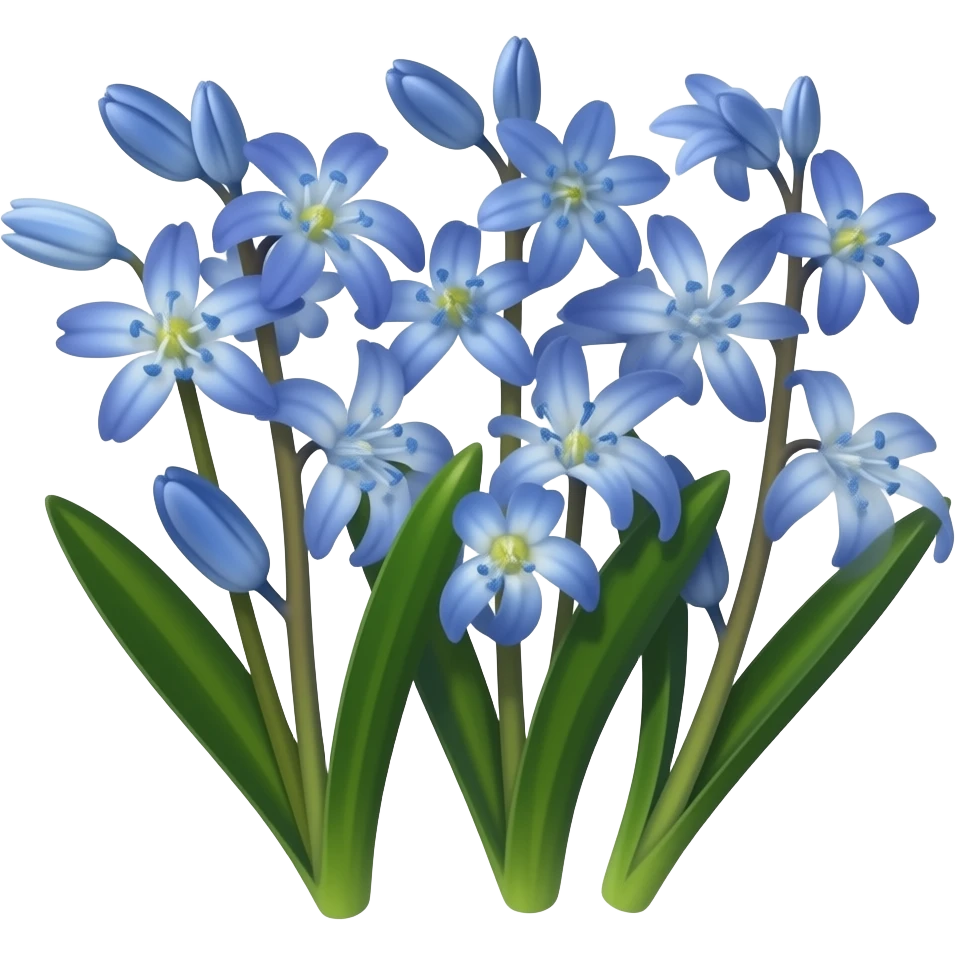 Scilla flowers emoji
