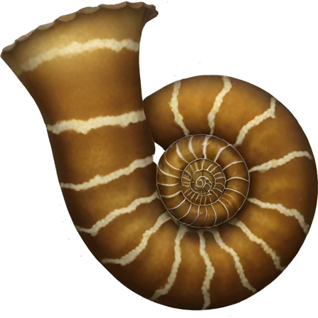 Ammonite emoji