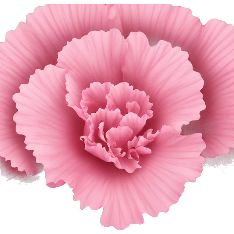 Pink carnation  emoji