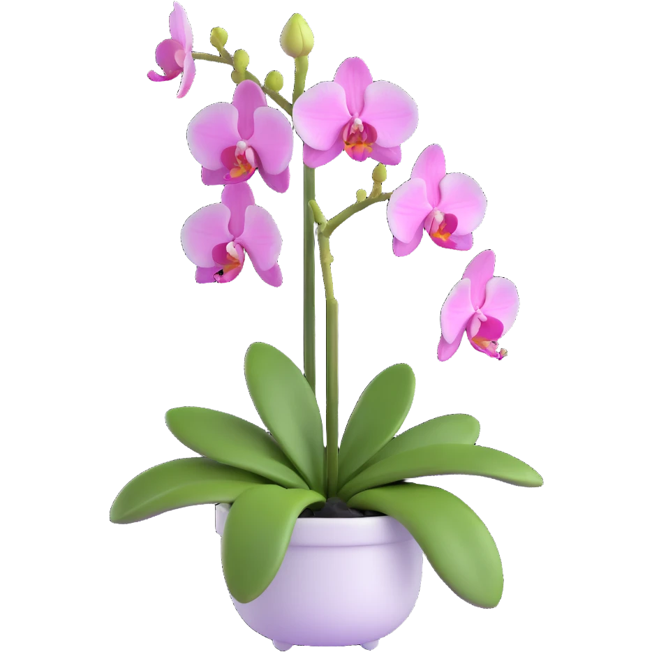 Elegant phalaenopsis moth orchid with detailed white and pink petals and green stem emoji