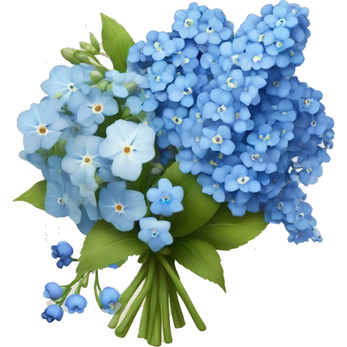 bouquet of baby breaths, delphiniums, forget me nots, and blue hydrangeas  emoji