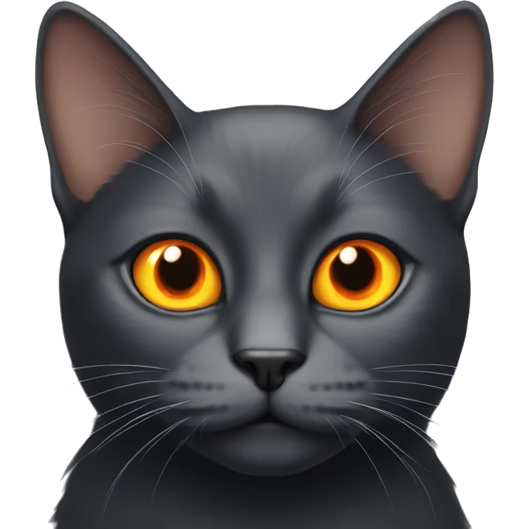 Black cat with orange eyes  emoji