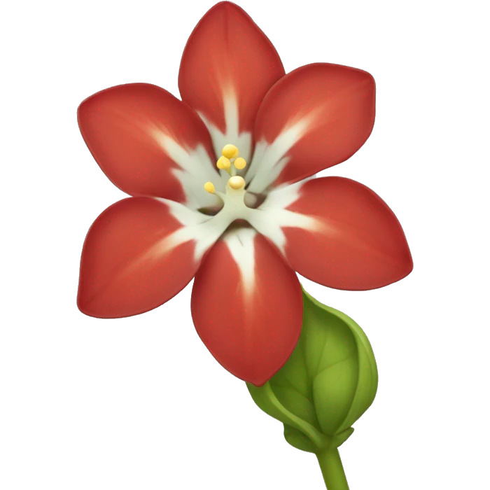 Scarlet pimpernel flower emoji