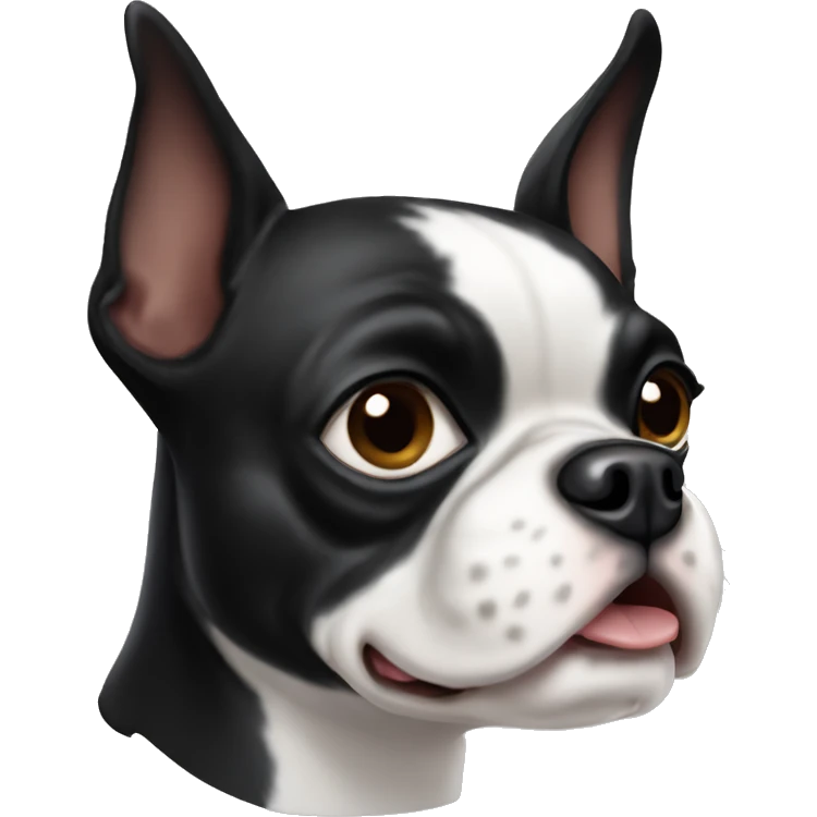 Boston terrier dog emoji