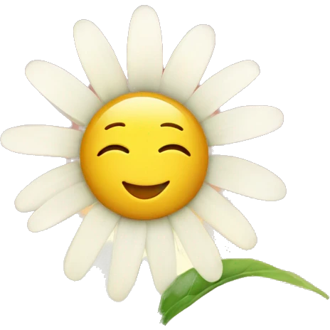 pretty morning sun with daisy flower  emoji