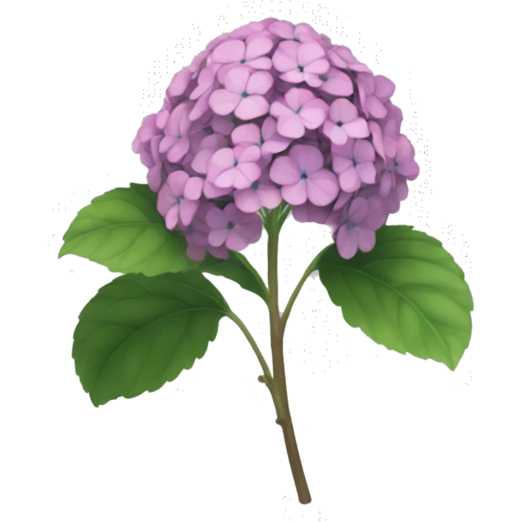 generate slack emoji image for "Hydrangea macrophylla" with a few fetal with large size emoji