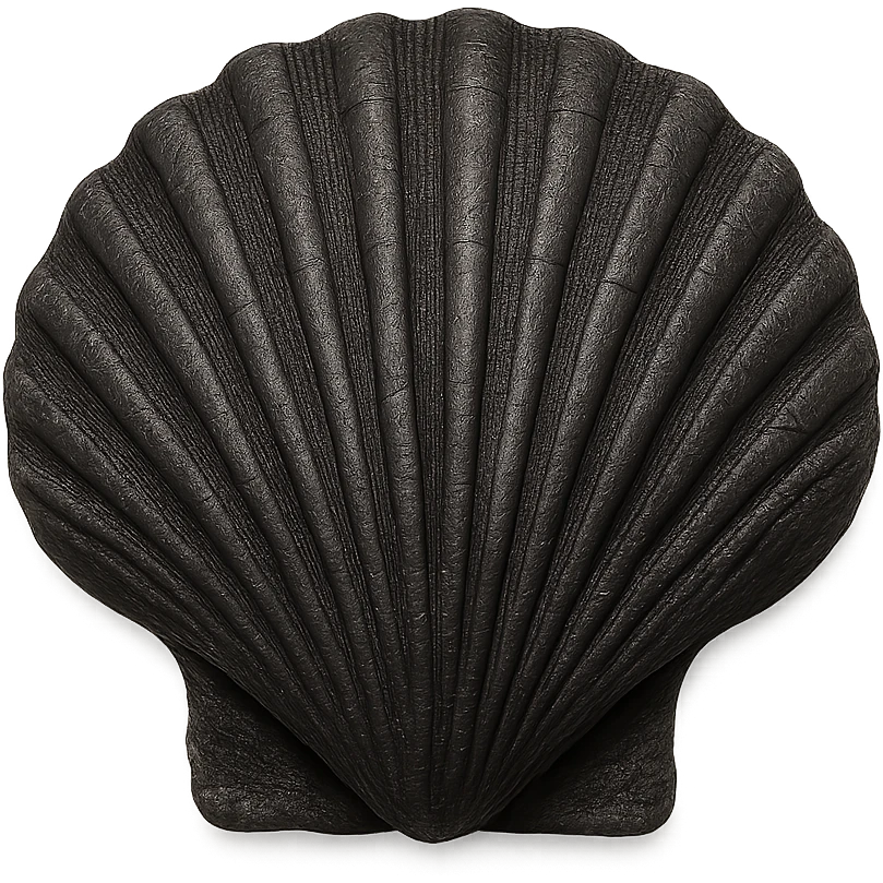 Black seashell, remove background emoji
