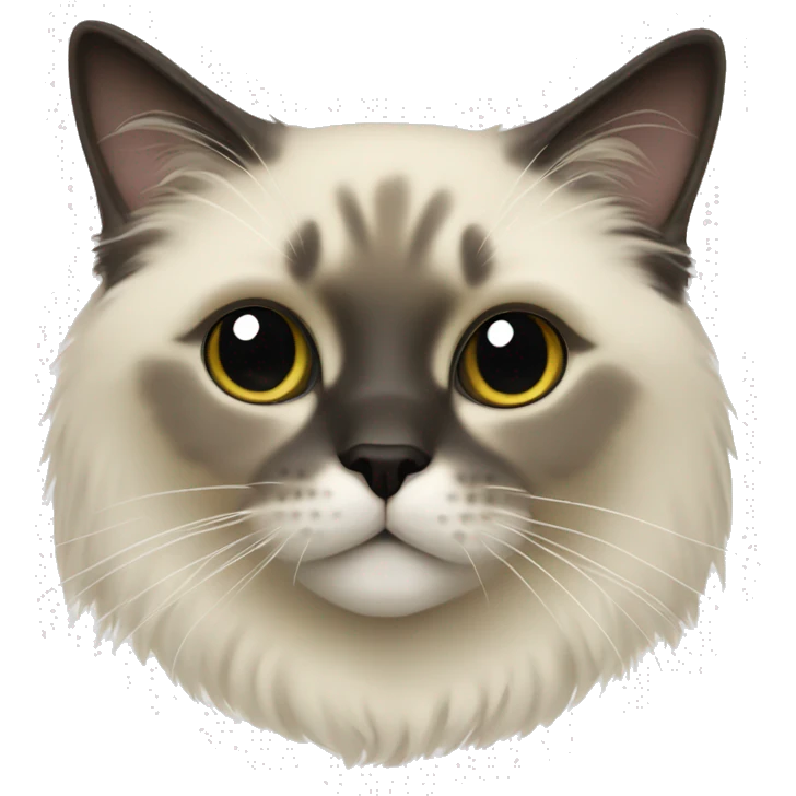 Seal point ragdoll cat emoji