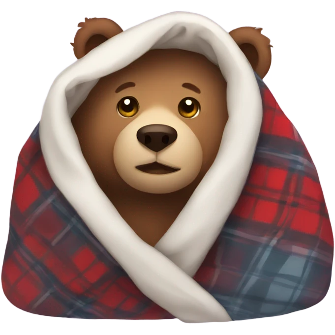 bear cozy in blanket emoji