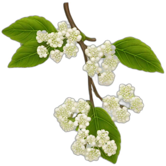 Viburnum chains for human health. emoji