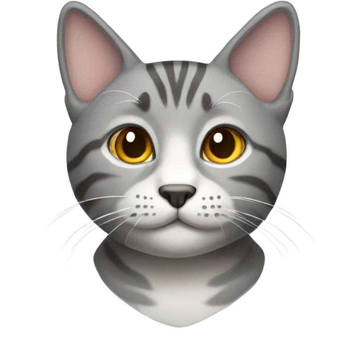 Grey tabby cat  emoji
