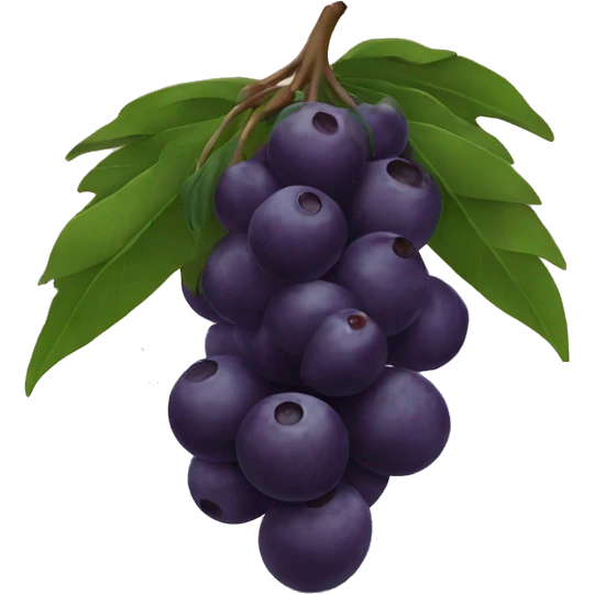 açaí  emoji
