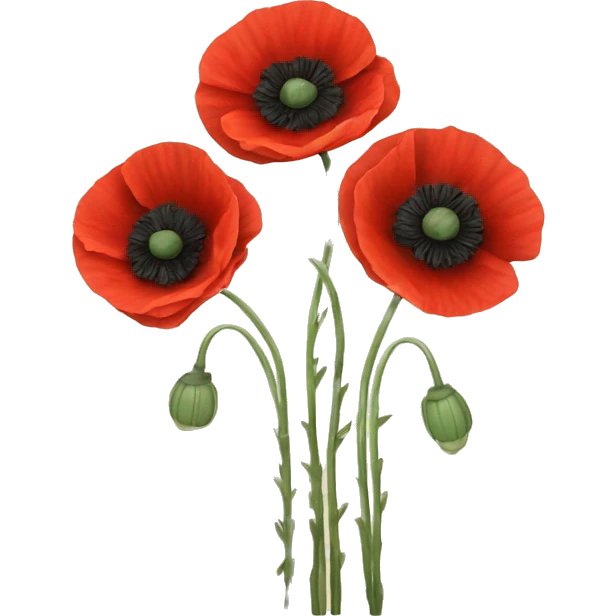 three red poppies with stems emoji