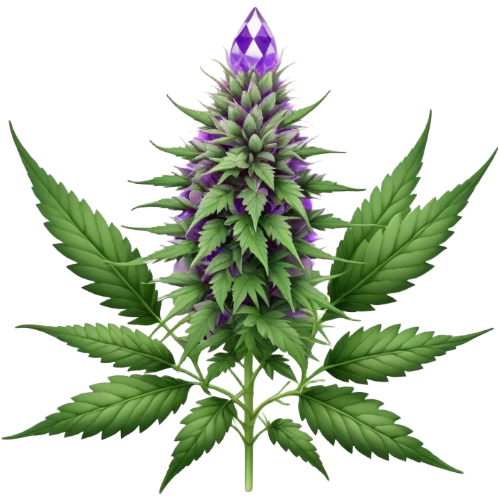 Cannabis plant with purple buds, crystal trichomes, and small wedding elements, wedding crasher strain emoji