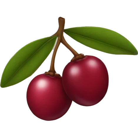 Cranberry  emoji