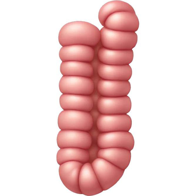 Intestine emoji