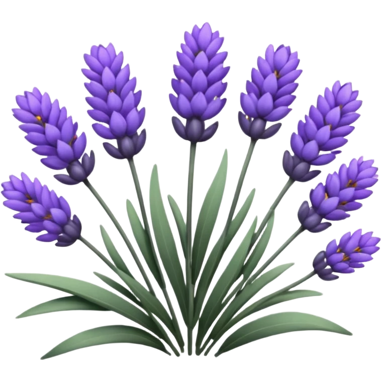 Lavender  emoji