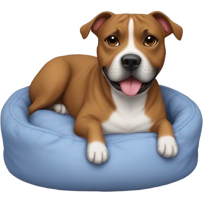 Staffie dog in small bed emoji