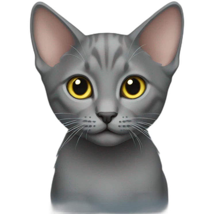 Korat kitten emoji