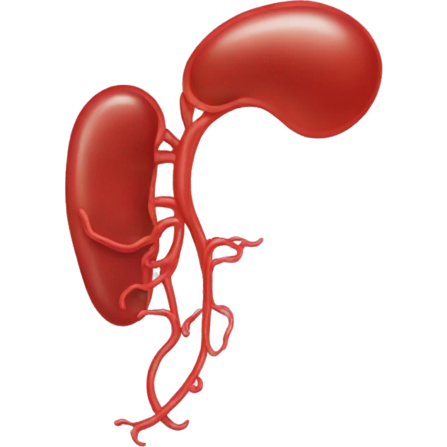 Human kidney emoji