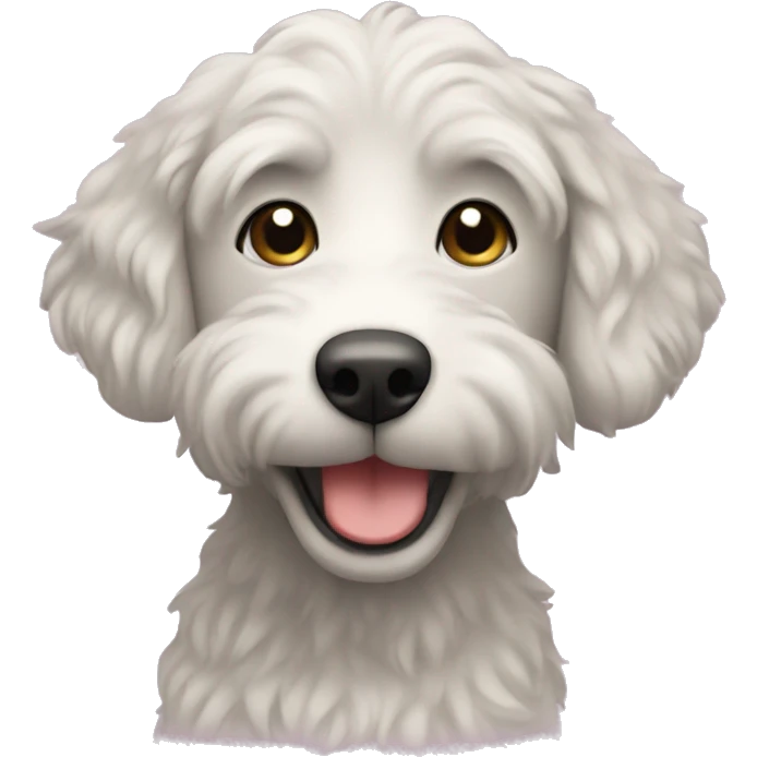 Congratulations with bernadoodle emoji