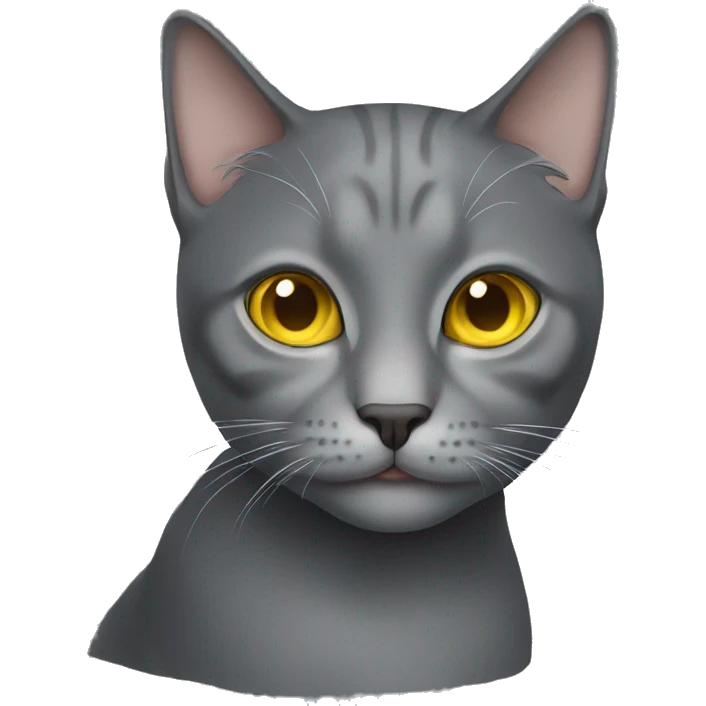 gray cat with yellow eyes  emoji