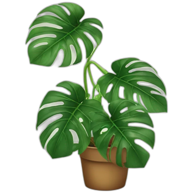 Monstera plant emoji