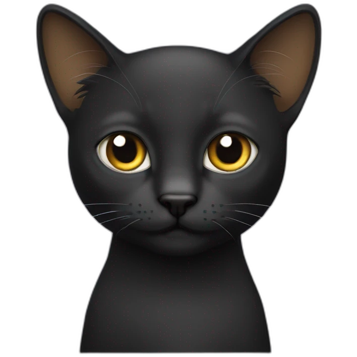 Gato negro de pelo largo emoji