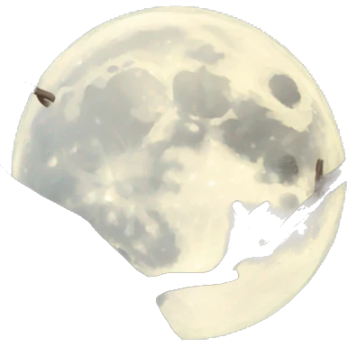 full moon and branches  emoji