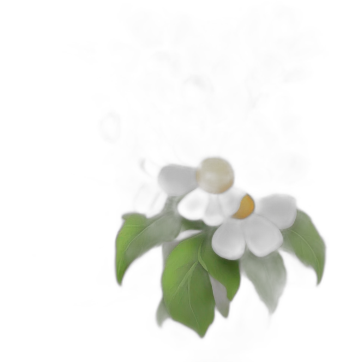 Blooming flowers wrapped around barbed wire emoji
