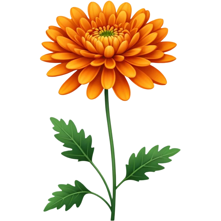 single Vibrant Orange Chrysanthemum, straight stem emoji