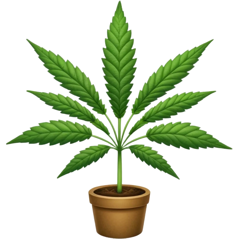 Canabis 
 emoji