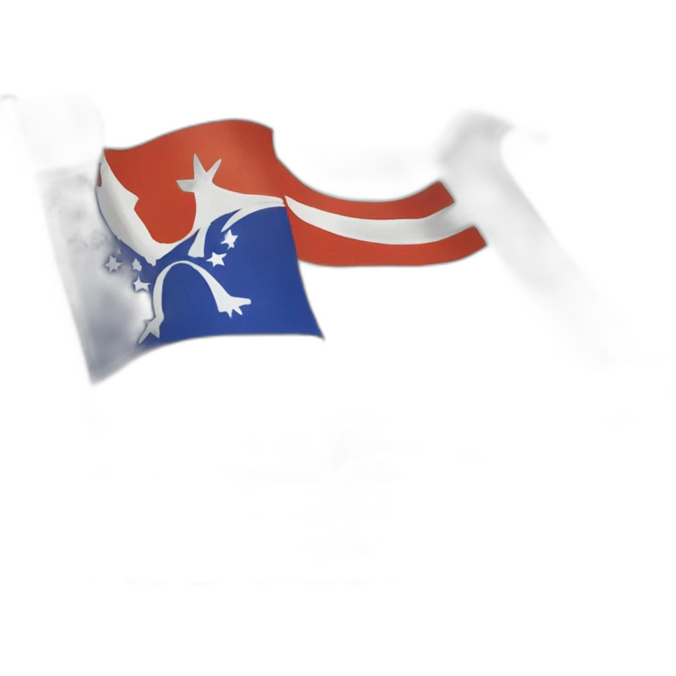 Flag with text VGO emoji