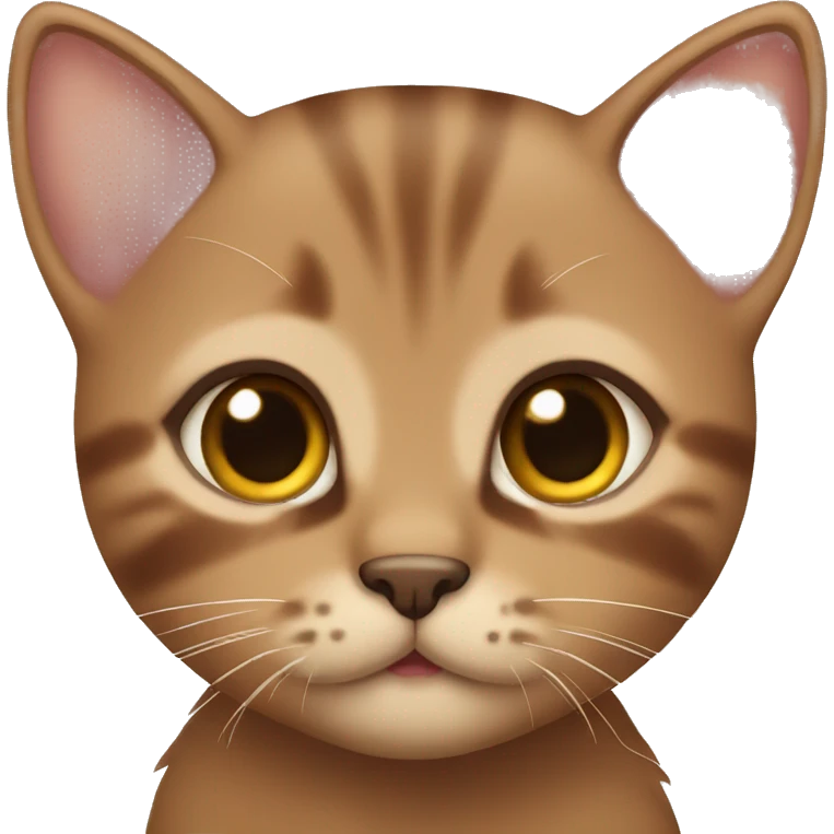 brown kitten with brown eyes emoji