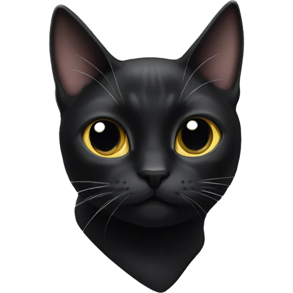 black cat white spot chest emoji