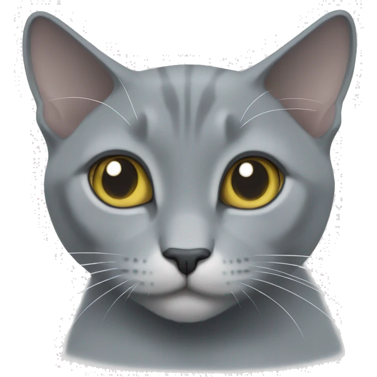 Grey cat russian blue mix with white paws and white Chest emoji
