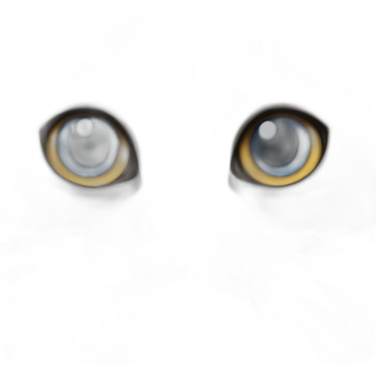 half scottish half british blue eyed cat emoji