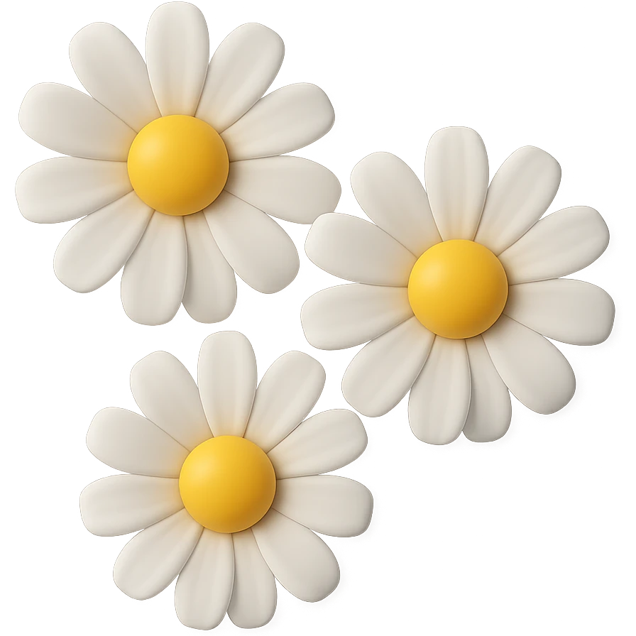 3D iOS-style daisies, realistic white petals, yellow centers, soft lighting, no background emoji
