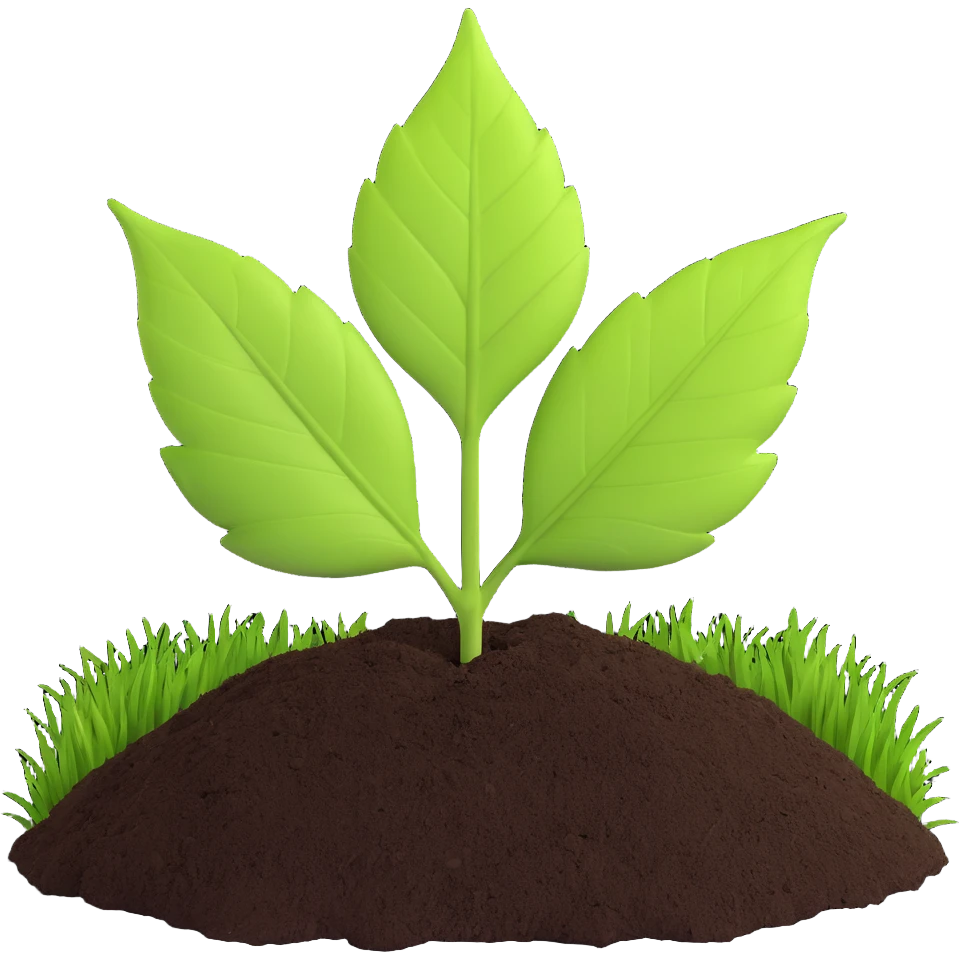 A fresh green leaf placed on soil or grass, clearly above the ground. emoji