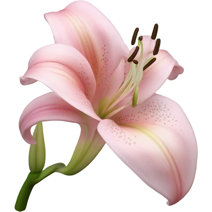 light pink lilium emoji