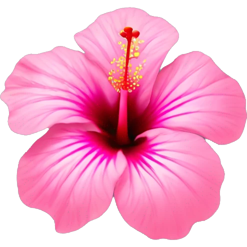 ￼Pink hibiscus flower with rain drops on it  emoji