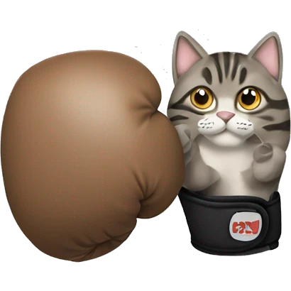 brown grey tabby cat boxing gloves  emoji