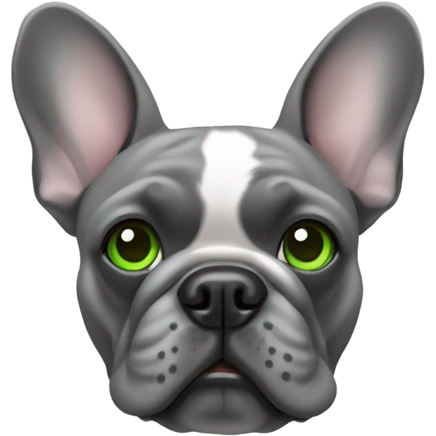 Gray French Bulldog with green eyes emoji