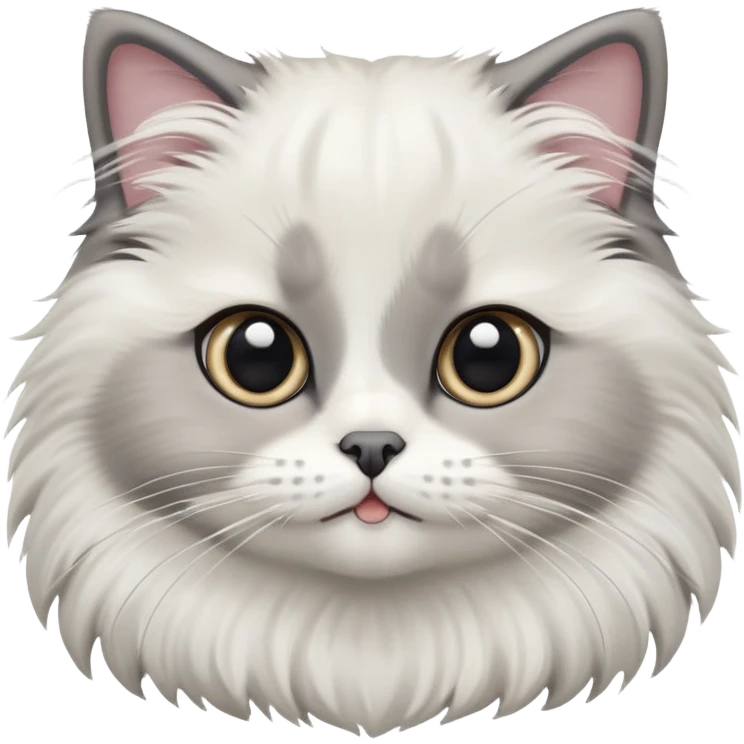 cinematic-adorable-big-eyed-fluffy-white and grey-ragdoll-cat-portrait-emoji,-head-tilted-playfully-with-a-sweet-expression,-fluffy-grey seal colour with white-fur,-simplified-yet-irresistibly-cute-features-with-large,-expression, emoji