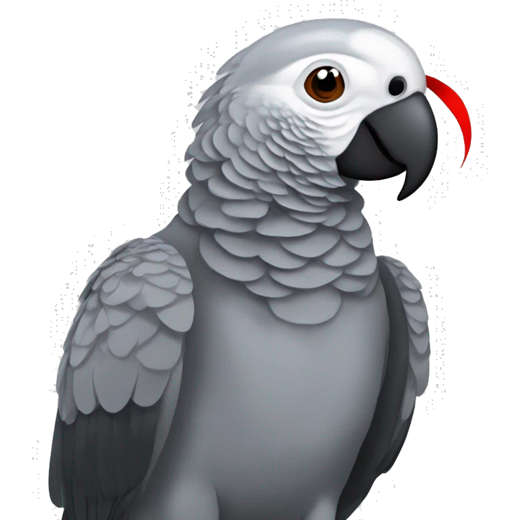 African grey parrot with red feather on his tail and not on his head with dark grey beak without red on his head  emoji